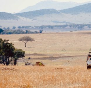 Rondreis Kenia & Tanzania: perfecte match